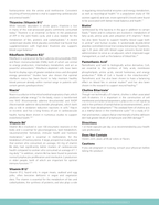 Methylated B Complex for Energy & Brain Health