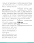 Mushroom Complex Supplement for Immune Support